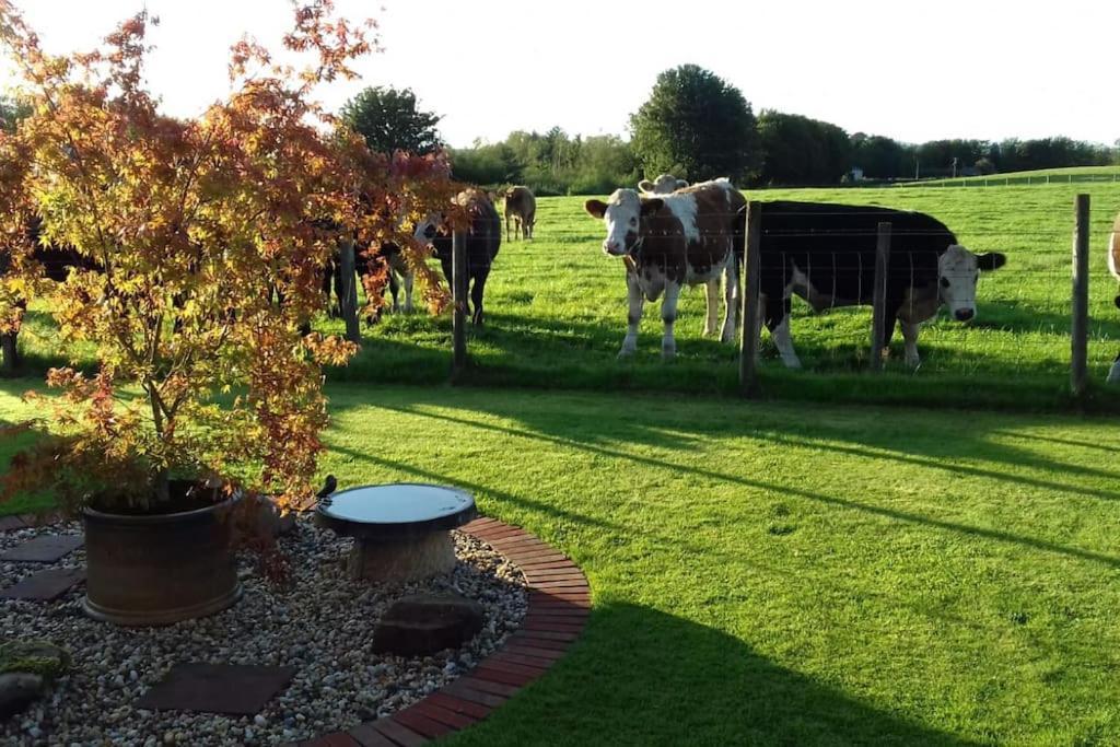 Courtyard Cottage Lockerbie Exterior foto